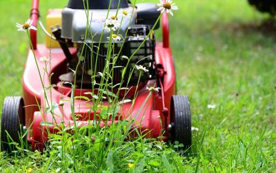 Why You Should Include Lawn Maintenance in Your Landscaping Budget