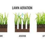 Three Effects of Lawn Aeration a Landscaping Company Will Confirm
