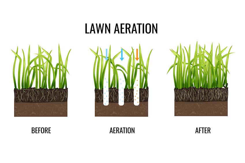 Three Effects of Lawn Aeration a Landscaping Company Will Confirm