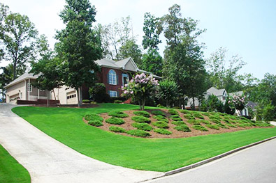 Lawn Maintenance & Mowing Dallas, Georgia