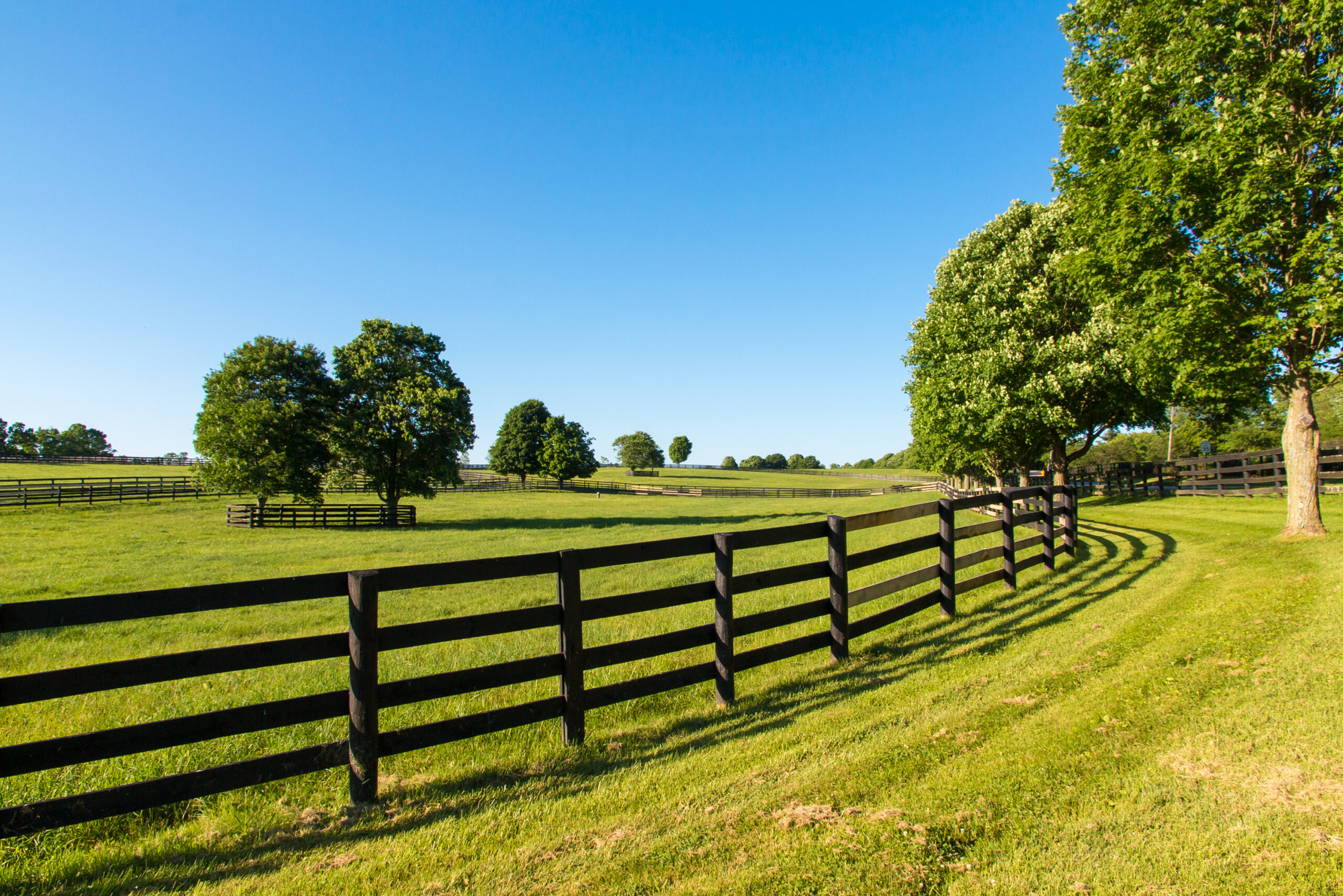 Black Ranch Rail Fence Installation In Paulding County