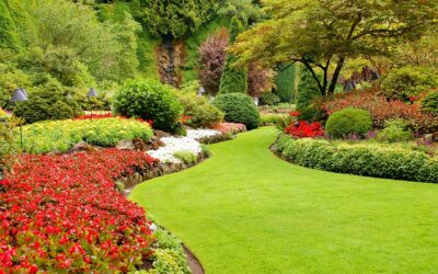 10 Ways To Prep Your Lawn For Spring In Dallas GA