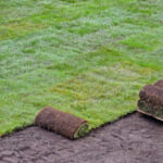 Best Sod Installation Contractor Dallas Georgia Lawn Frogs Landscaping