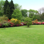 Well maintained Bermuda lawn in Dallas, GA