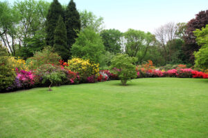 Well maintained Bermuda lawn in Dallas, GA