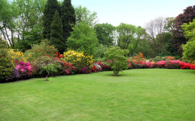 Top 3 Tips for Caring for Bermuda Lawns in Dallas, Georgia During August