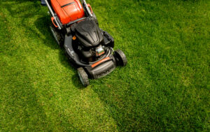 Dallas, GA Bermuda lawn mowing tips Dallas, GA Bermuda lawn mowing tips