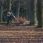 Dallas GA Leaf Clean up