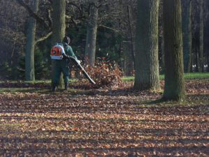 Dallas GA Leaf Clean up