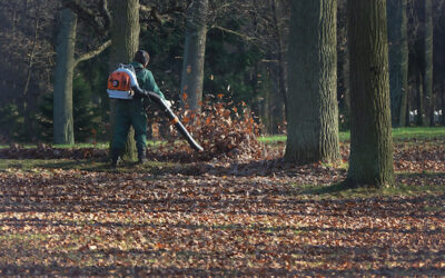 Benefits of Leaf Clean Up in Dallas and Acworth, Georgia
