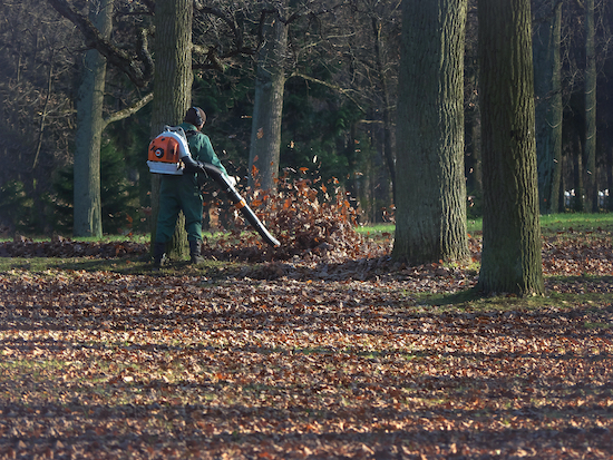 Dallas GA Leaf Clean up