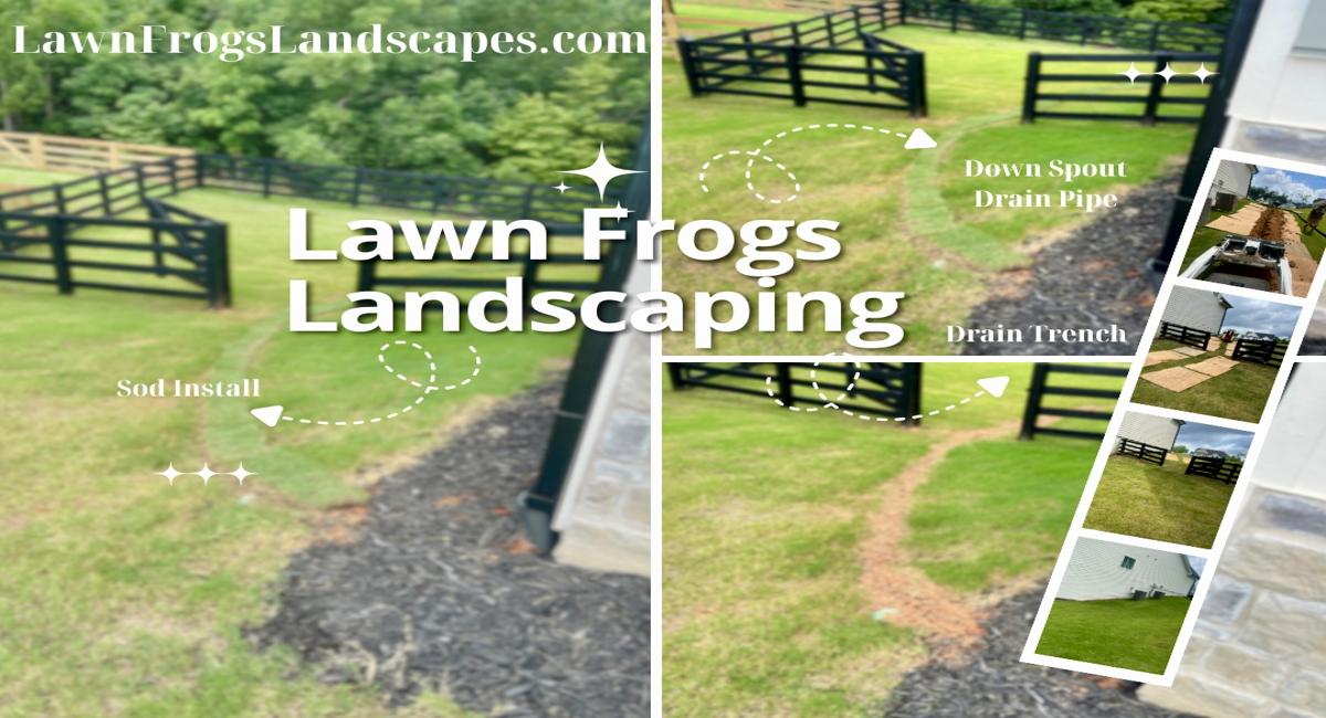 Downspout corrugated pipe Lawn Frogs Landscaping