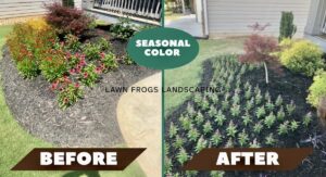 Seasonal Color, Flowers