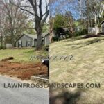 Sod Installation Lawn Frogs Landscaping