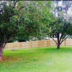 Pressure Treated Wood Fence Contractors Acworth Georgia Lawn Frogs Landscaping