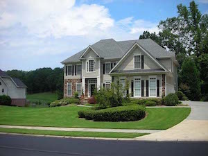 Bermuda Lawn Care Lawn Frogs Landscaping