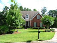 Zoysia Lawn Care Lawn Frogs Landscaping